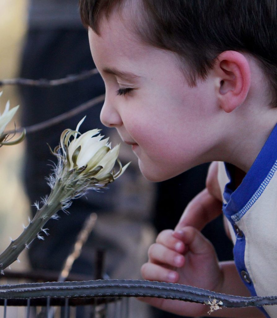 A boy smelling a flower