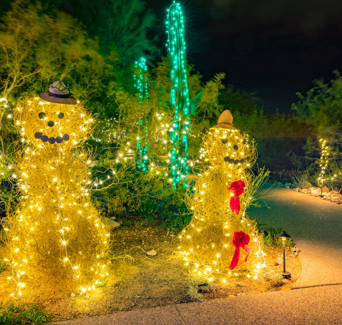 Snowman figures made of golden string lights in a desert garden at night